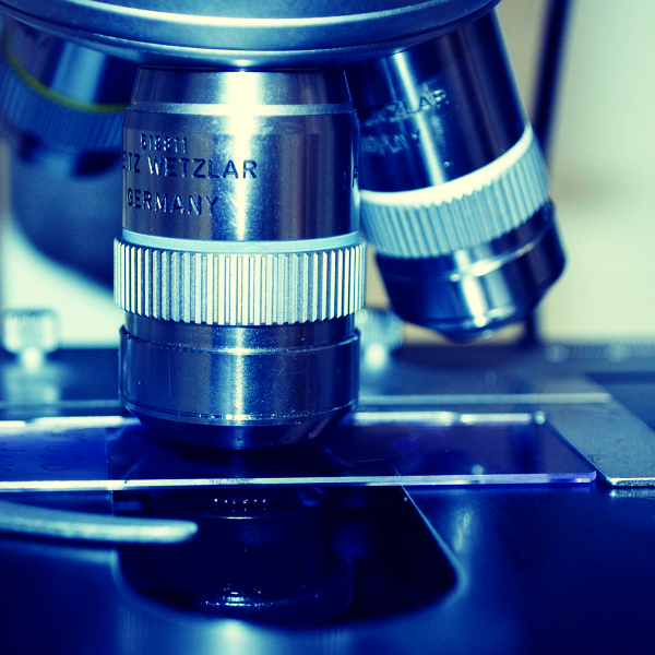 portaobjetos para microscopio