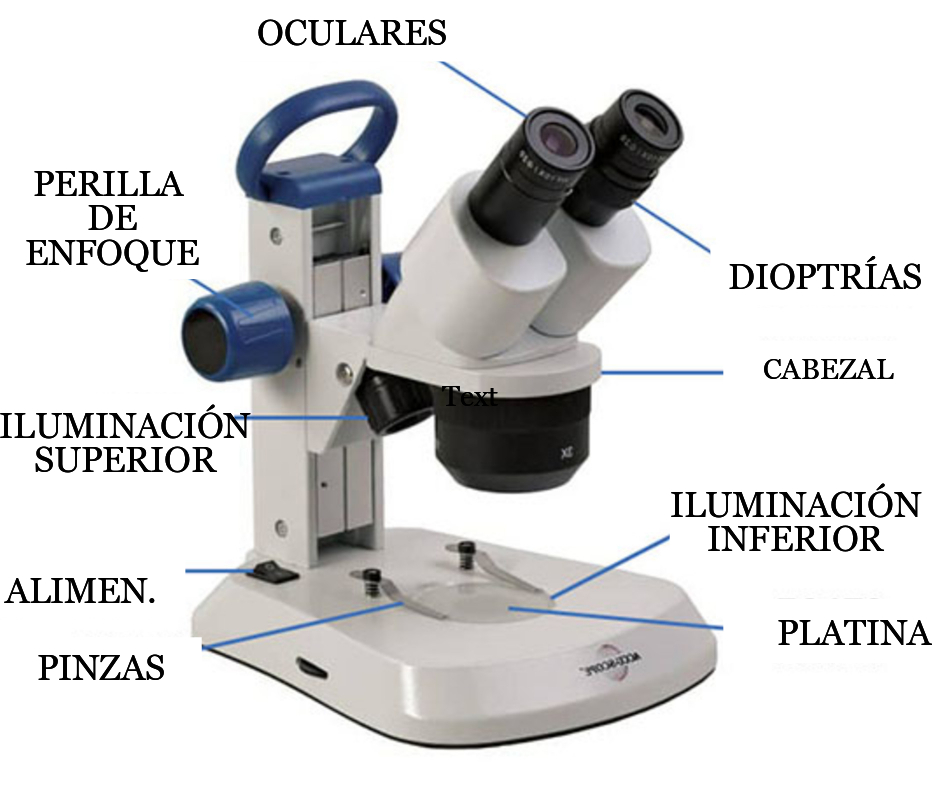 partes del microscopio