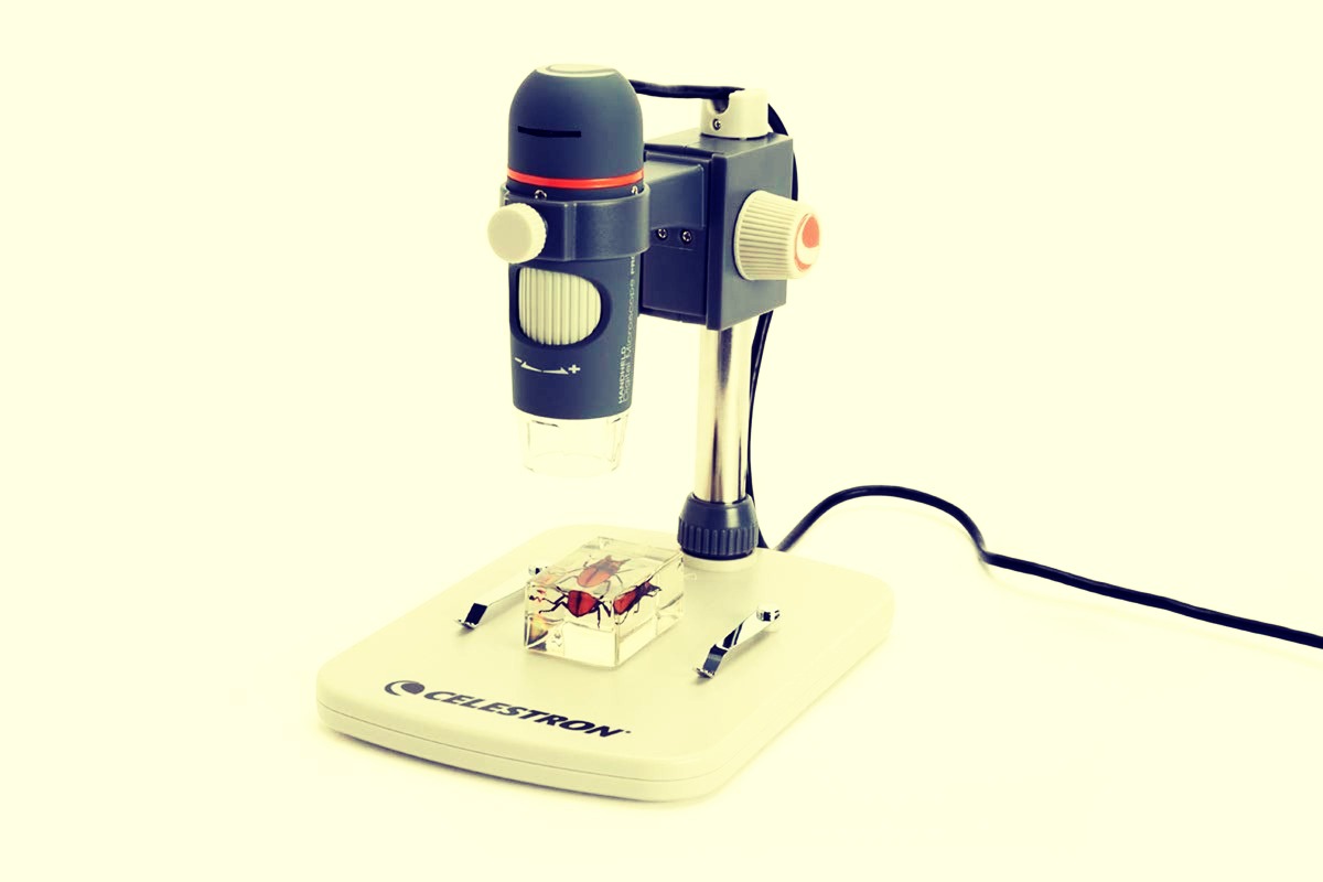 Microscopio Digitale Bambini Zs- MICROSCOPIO USB SUPEREYES MICROCHIP ...
